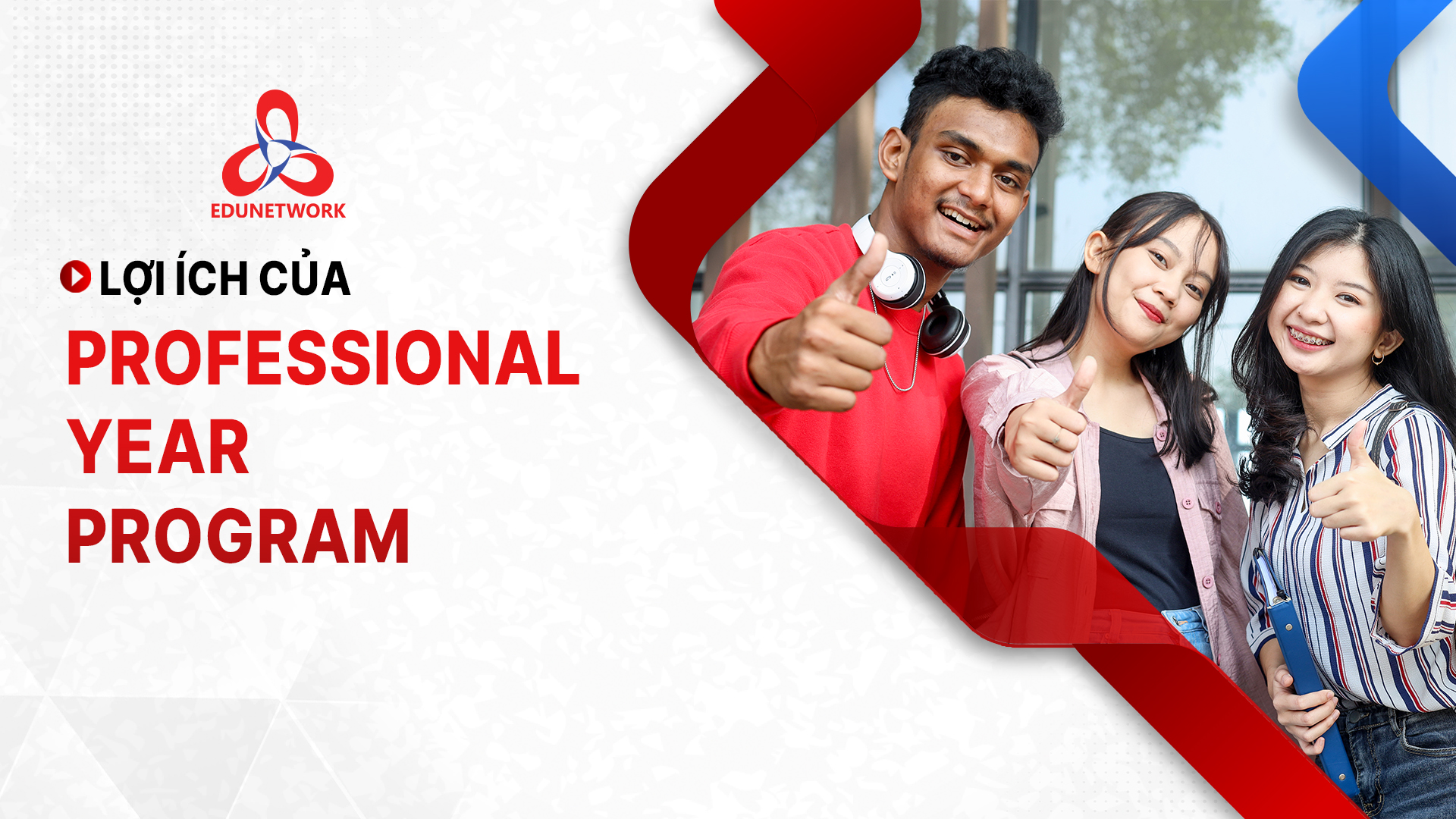 loi ich cua professional year program